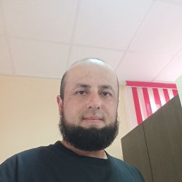 , 33, 