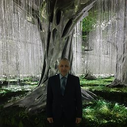, 58, 