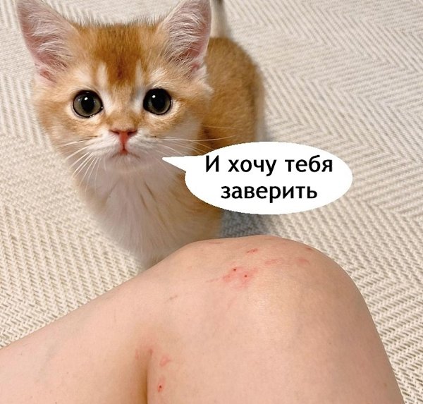     - 2