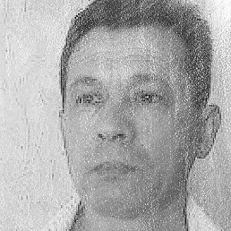 ����, ����������, 53 ����