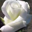 ���� ����, ������, 68 ��� - ��������� 22 ������� 2023