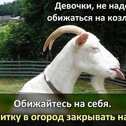 ��������, �����������, 49 ���