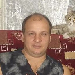 , , 55 