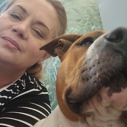 ��������, ������, 56 ���