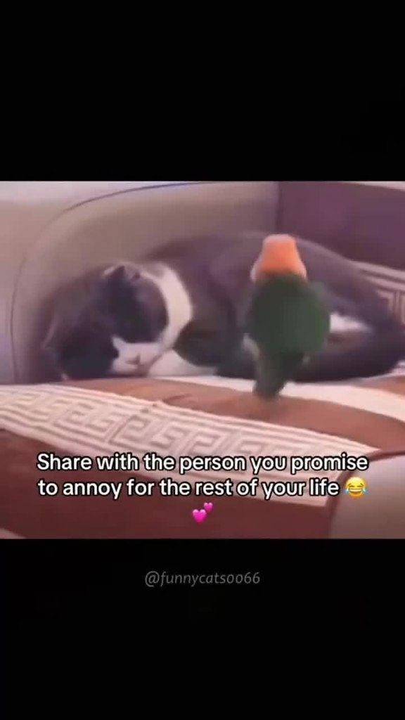 ����� ��� ����� � ����� ������-��? - 2