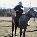 ���� �������, ����������, 36 ��� - ��������� 11 �������� 2025 � ������ ���� ����������