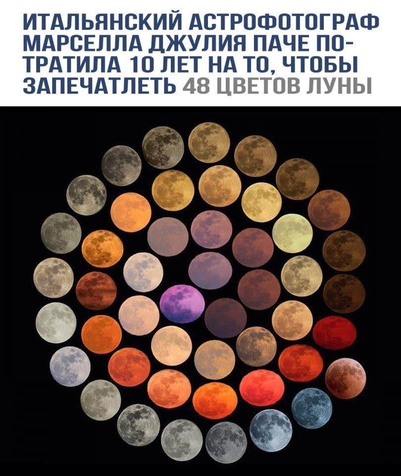 oceca apa