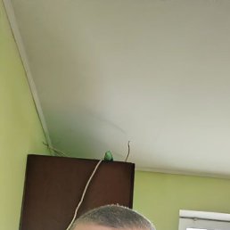 , 38, 