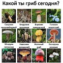  ,  -  5  2025    