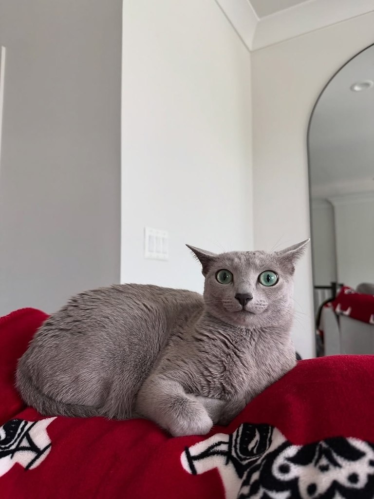  .    ,      .,  ,    ... - 2