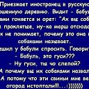 ���� �����, ���� - ��������� 20 ��� 2026 � ������ ������ ��������