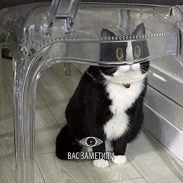 Olga, �������