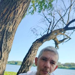 �����, ���������, 38 ���