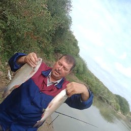 ���� �������, ������, 53 ���� - ��������� 8 ������ 2026