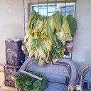 ���� Gagarin, ������, 46 ��� - ��������� 15 ����� 2025 � ������ ������ ��������