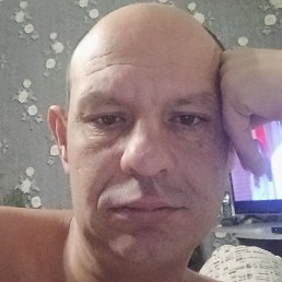 ���������, �����, 41 ���