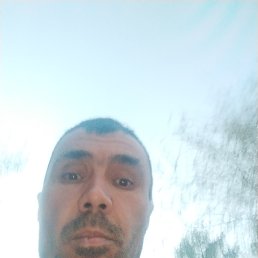  , 41, 