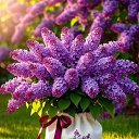 ���� V, ������, 59 ��� - ��������� 10 ��� 2026 � ������ ���� ����������