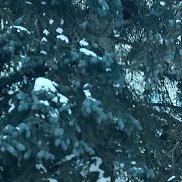 �������, 45 ���, ������