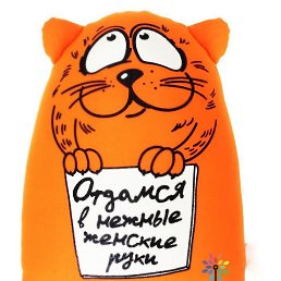 ���� �����, �����, 37 ��� - ��������� 30 ���� 2025