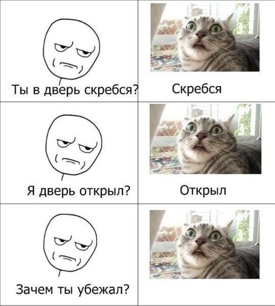       - 7  2024  12:52
