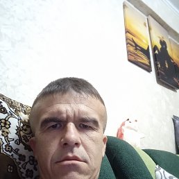, 37, 