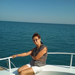 �������, ��������, 71 ���