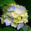 ���� �������, ������, 37 ��� - ��������� 28 ������ 2025 � ������ ���� ����������