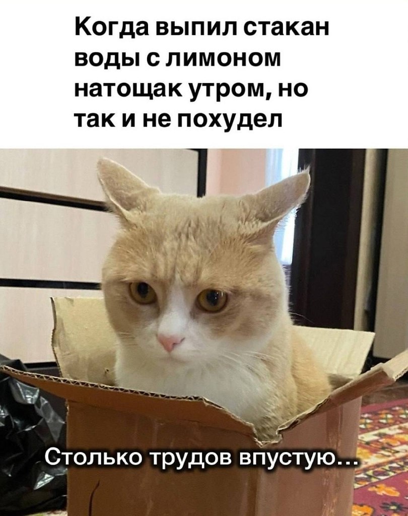   - 12  2025  19:09