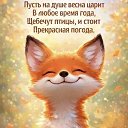 ���� �����, ������, 71 ��� - ��������� 4 ������ 2026 � ������ ���� ����������