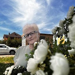 ������, �����-���������, 65 ���