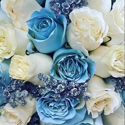 ���� ����������, �����, 50 ��� - ��������� 15 ������ 2023