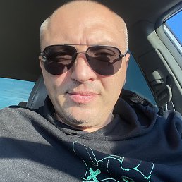 �������, �������, 46 ���