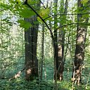 ���� Oleg, ������ - ��������� 10 ������ 2026 � ������ �Environs�