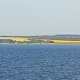 ������, ������, 43 ����