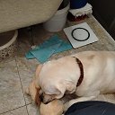 ���� �����, ������ ��������, 56 ��� - ��������� 23 ������� 2025 � ������ ���� ����������