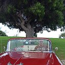 ���� ���������, ���������, 38 ��� - ��������� 14 ������ 2023 � ������ ���� ����������