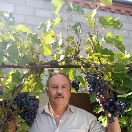 aleksandr, 58, 