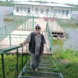 , 61 , 
