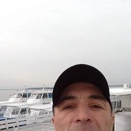 �����, 42 ����, ���������