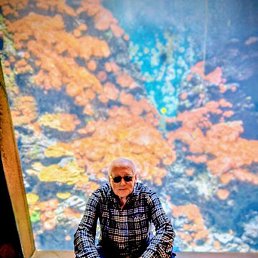 Vladimir, ���������