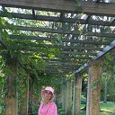 ���� ���, �����-��������� - ��������� 13 �������� 2025 � ������ ���� ����������