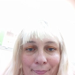 , 41, 