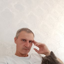 ���������, 41 ���, ��������