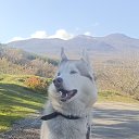 ���� ��x��, ������ - ��������� 1 ������� 2025 � ������ ������ ��������