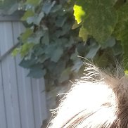 ����, 47 ���, ��������