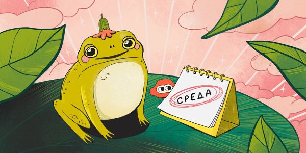 «Это среда, мои чуваки»: как появился вирусный мем с лягушками и что он вообще ...