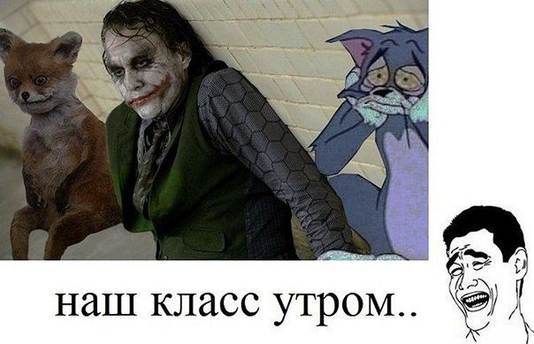 ☆   ☆ - 28  2025  00:15