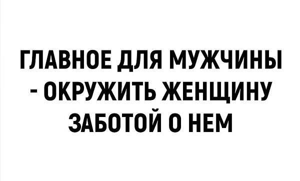 ������ - 11 ���� 2026 � 22:50