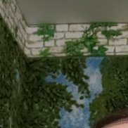 , 44 , 
